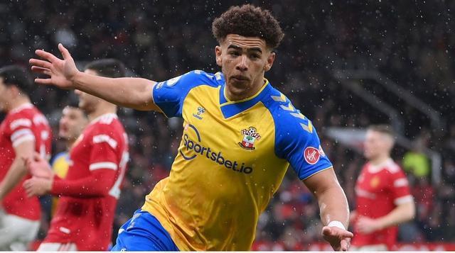 开云体育下载-关于南安普顿主场平局，积分暂时停滞的信息