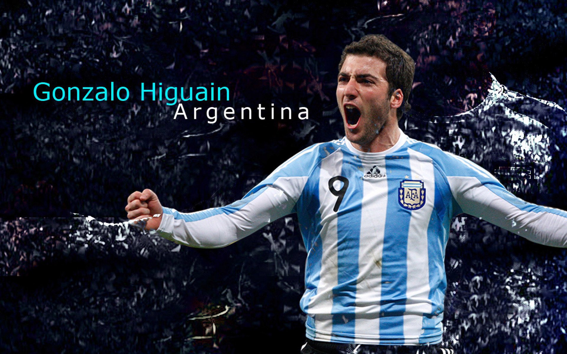 跨界焦点，掘金高原擒熊，锡安亚平宁赛场展统治力